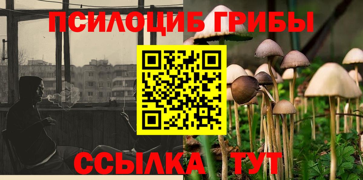 Галлюциногенные грибы GOLDEN TEACHER Сокол