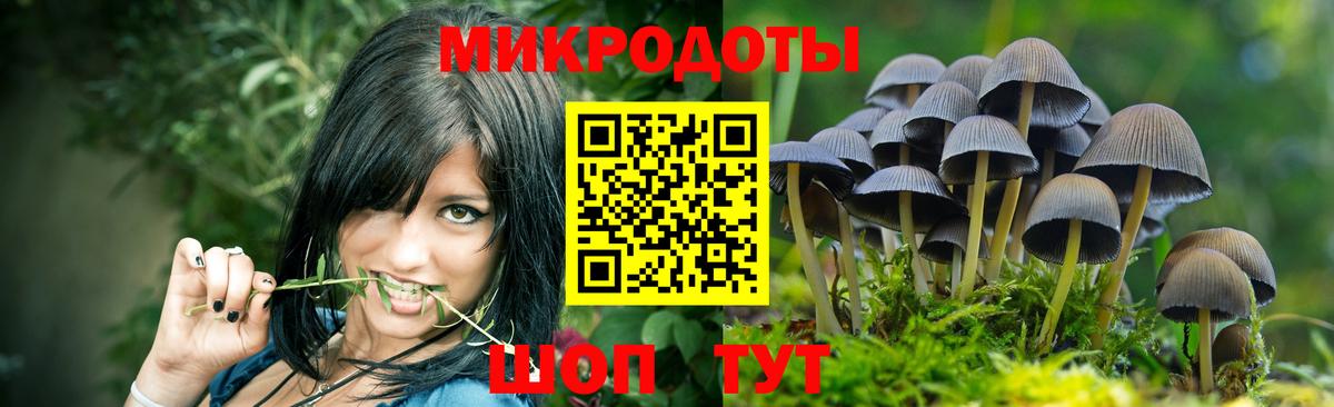 Псилоцибиновые грибы мухоморы  Псилоцибиновые грибы MAGIC MUSHROOMS  купить наркотики сайты  Сокол  Вход с VPN 