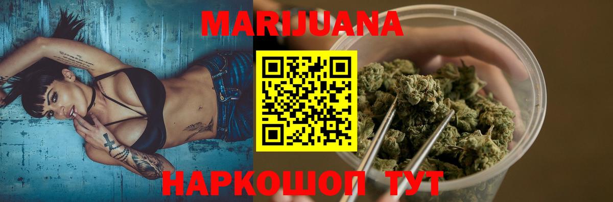 Канабис семена Сокол